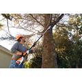 Stihl HTA 50.0 oksasaha (sis. AK 20 akun ja AL 101 laturin)