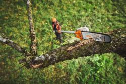 Stihl HTA 110.0 oksasaha (ilman akkua ja laturia)