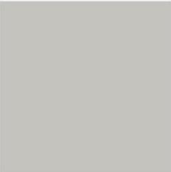 Suvi Topcoat paint #2101 "light grey"