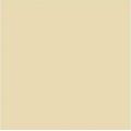 Suvi Topcoat Paint #1905 "light brown"