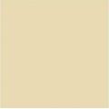 Suvi Topcoat Paint #1905 "light brown"