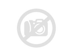 Nils Master Invicible 15cm 