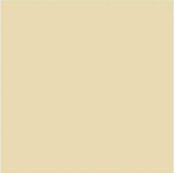 Suvi Topcoat Paint #1905 "light brown"