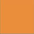 Termalin Topcoat Maali #5416 "Oranssi"