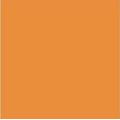 Suvi Topcoat Paint  #5416 "Orange"