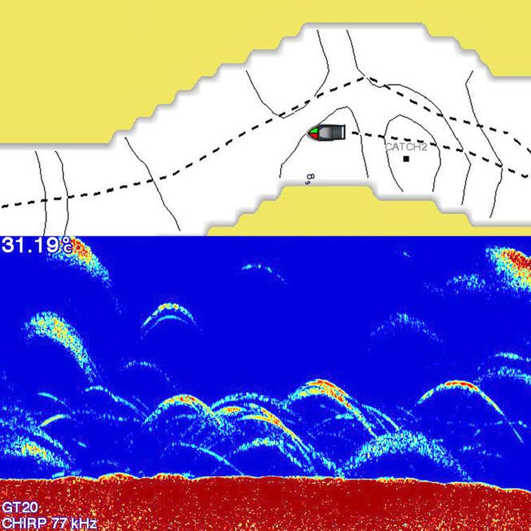 -Esittelylaite- Striker Plus 5cv