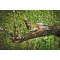 Stihl HTA 110.0 oksasaha (ilman akkua ja laturia)