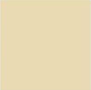 Suvi Topcoat Paint #1905 "light brown"