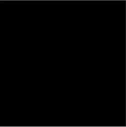 Suvi Topcoat Paint  #2800 "Black"