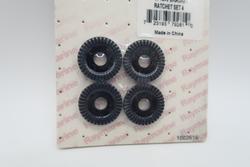 Raymarine CPT200 Bracket Ratchet set