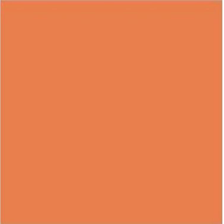 Termalin Topcoat Paint  #5601 "Orange"