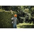 Stihl HLA 56 pensasaitaleikkuri (sis AK 20 akun ja AL 101 laturin)