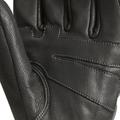 Polaris Revelstoke Glove Black