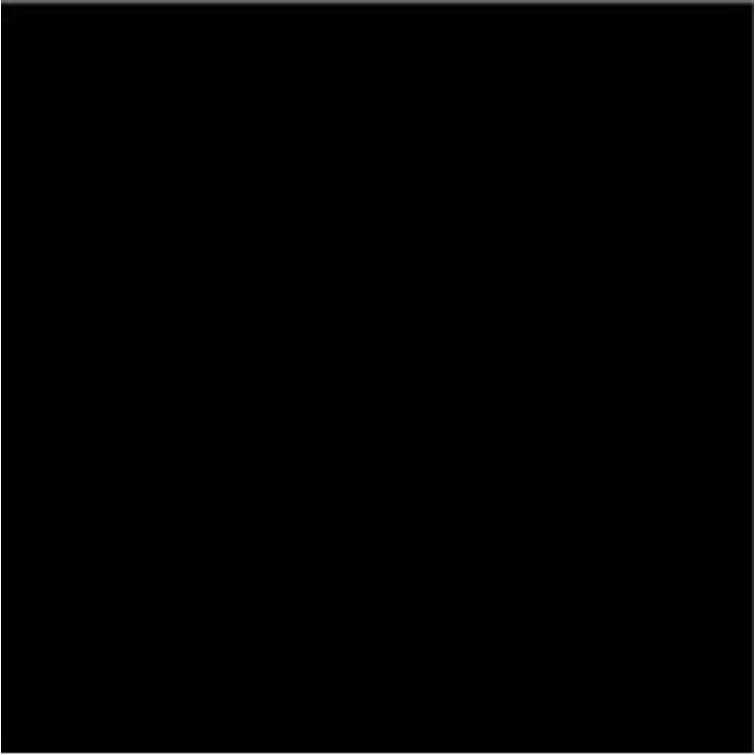 Suvi Topcoat Paint  #2800 "Black"