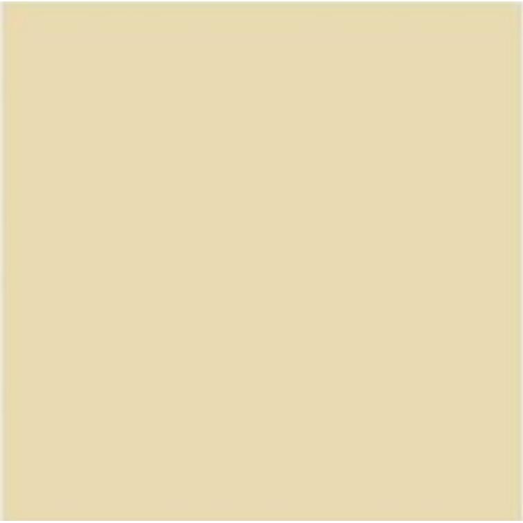 Suvi Topcoat Paint #1905 "light brown"