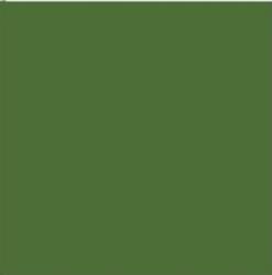 Termalin Topcoat Maali #4725 " P&auml;ij&auml;n-vene ulkos&auml;vy 2013 ja nuoremmat""