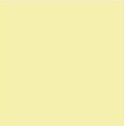 Yermalin Topcoat paint #1000 "White"