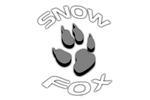 Snow Fox