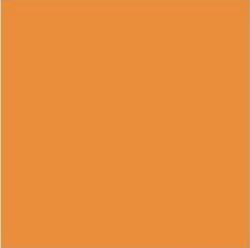 Suvi Topcoat Paint  #5416 "Orange"