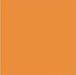 Suvi Topcoat Paint  #5416 "Orange"