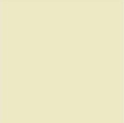 Suvi Topcoat Paint #1205 Dirty white
